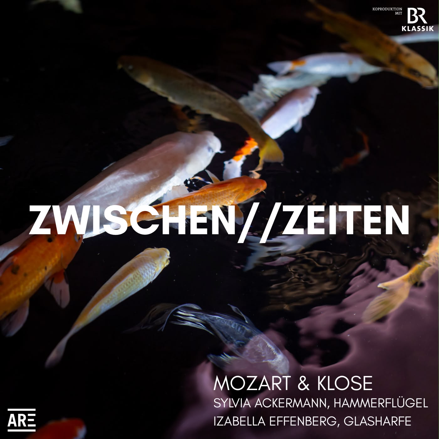 discografie